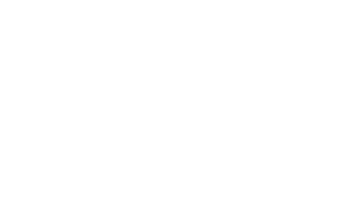 AA Sports International